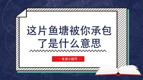 你的鱼塘被我承包了